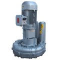 Воздуходувка FPZ K75-MS-GVR-5.50 Flex-coupling Vertical IE2