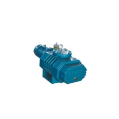 Вакуумный насос DEVELOPMENT VACUUM EQUIPMENT ZJ-75
